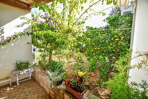 House Panula