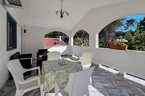 Apartments Franjo