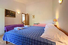 Apartments Franjo