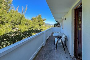 Apartments Franjo