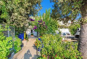 Apartments Zarko