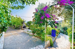 Apartments Zarko