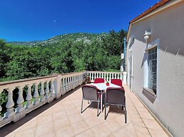 Apartment Nenad