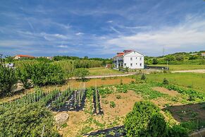 Apartments Milorad M
