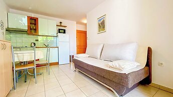Apartment Brdar