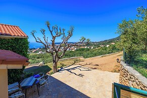 House Dragan D