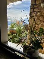 Apartments Belvedere