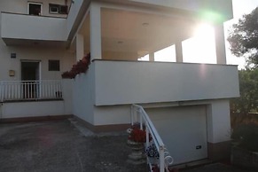 Apartments Radmila