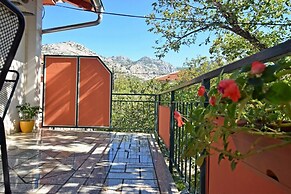 Apartments and Room Adriana
