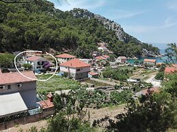 Apartments Vidoni