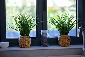 Villa Vida