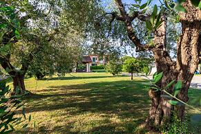 Country Home in Lucca Near Tuscan Wineries