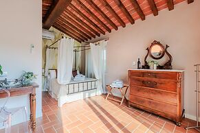 Farmhouse in Lucca With Infinity Pool