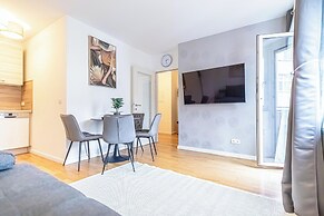 Nice 1BR 1LR Apartment City Center