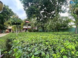 Say Resort Morning Glory