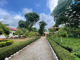 Say Resort Morning Glory