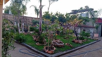 pompei suite via roma 16
