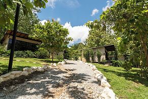 Hotel Banyan Doradal