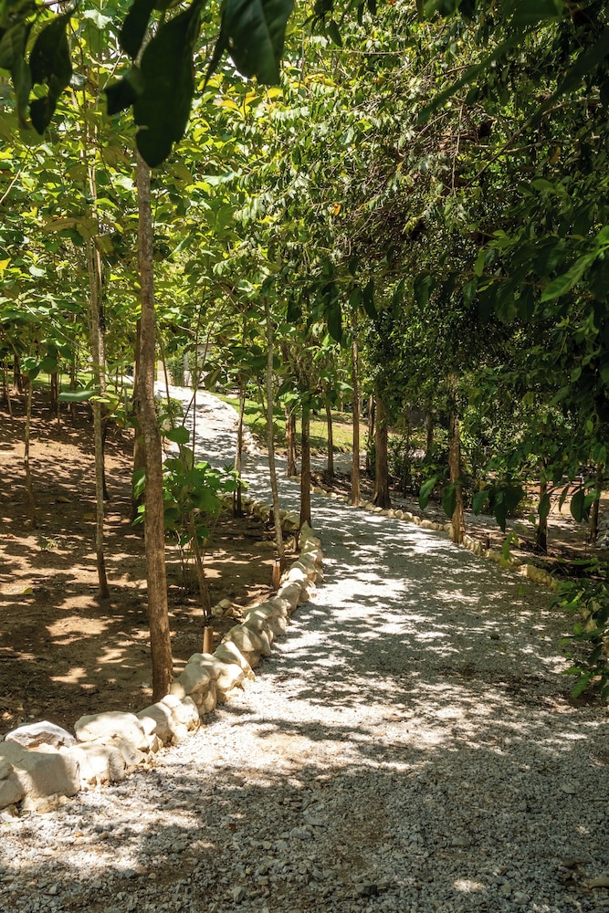Hotel Banyan Doradal
