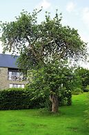 Domaine du vieux chêne