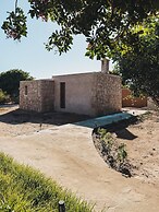 Surfiscamp