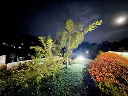Albion Nest  Galle