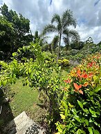 Albion Nest  Galle