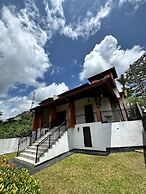 Albion Nest  Galle