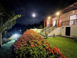 Albion Nest  Galle