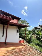 Albion Nest  Galle