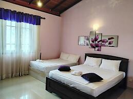 Albion Nest  Galle