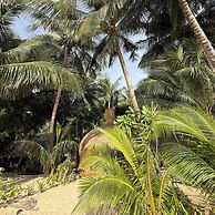 Cambaya Beach Resort