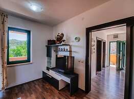 Holiday Home Villa Rokov