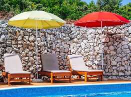 Holiday Home Villa Rokov