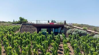 Tenuta di Castellaro Winery & Resort