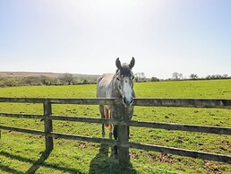 Willow Apartment - Gower