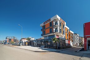 The Orange Cactus