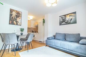 Comfortable 1BR 1LR City Center Apt
