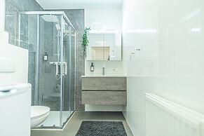 Comfortable 1BR 1LR City Center Apt