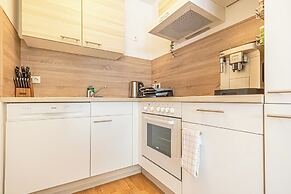 Comfortable 1BR 1LR City Center Apt