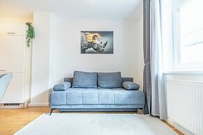 Comfortable 1BR 1LR City Center Apt