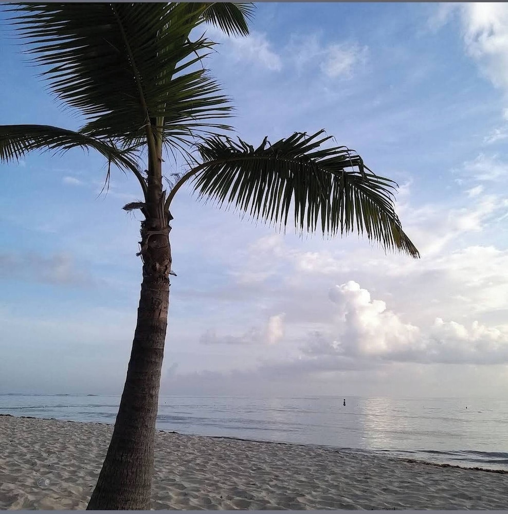 Palmar Apartments · Comfort & Great Location