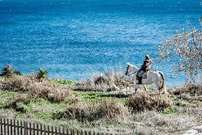 TE- Luxury Resort, Front Line Beach, Families Only