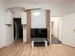 Cozy 1BR Apt with Lounge Central Vienna