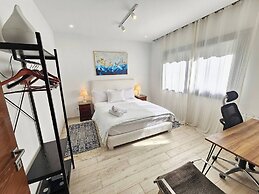 Elegant and Modern Villa V 04