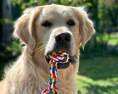 Cosy Apartment in the Oderbruch