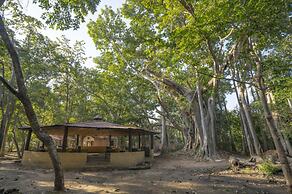 Maharaja Kothi Resort Bandhavgarh