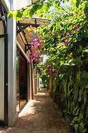 Calm House 4 Hoi An