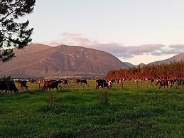 Tannenhof Guest Farm