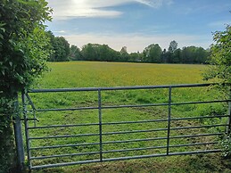 The Bullpen@manor Farm